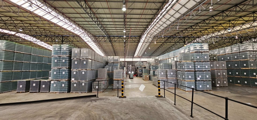 To Let commercial Property for Rent in Parow Industrial Western Cape